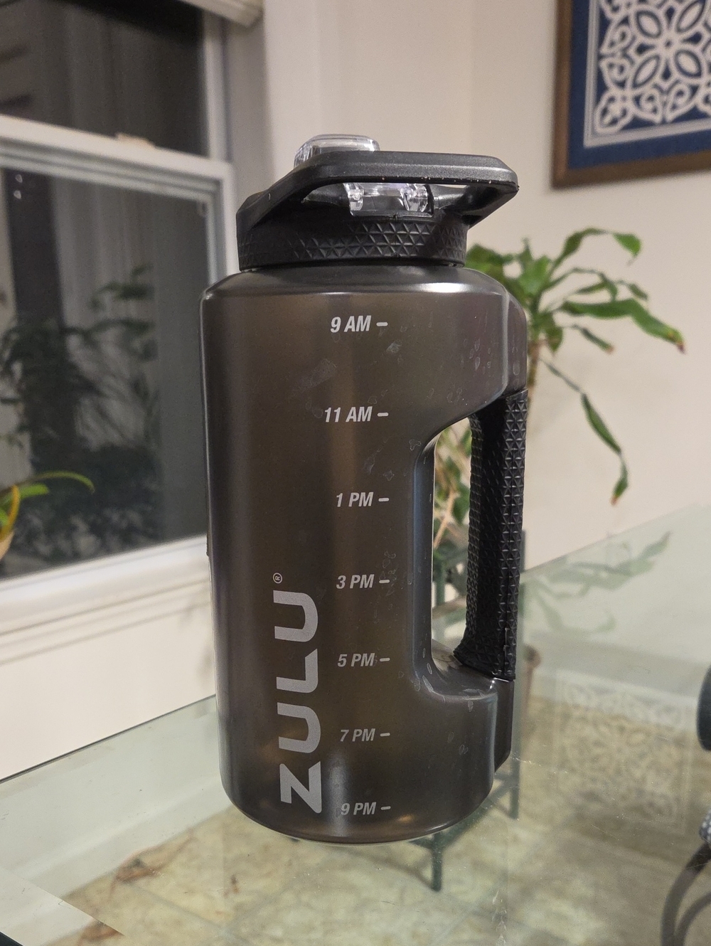 ZULU Large Dark Gray Water Bottle with Time Markings